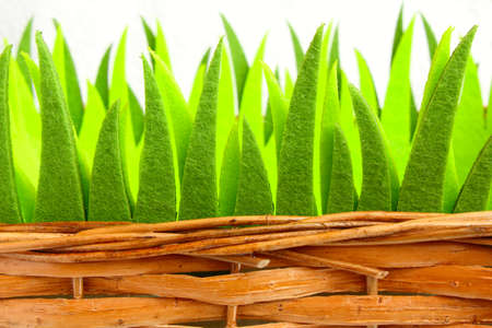 ornamental grass in a basketの写真素材