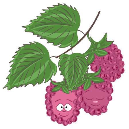 raspberry leavesのイラスト素材