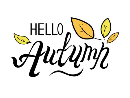 Phrase hello autumn. hand lettering.のイラスト素材