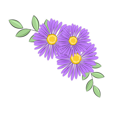 violet flower isolated on white backgroundのイラスト素材