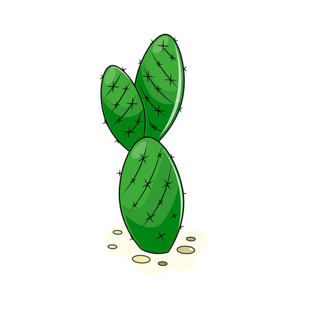 illustration of a green cactusのイラスト素材