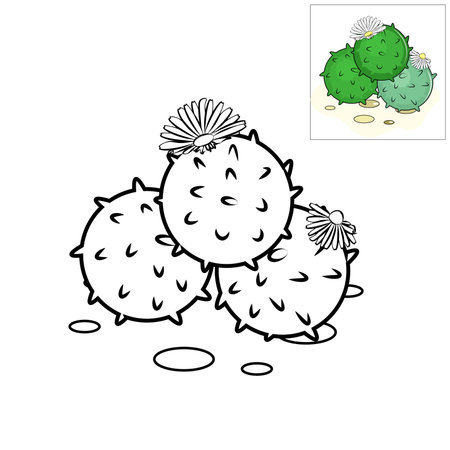 illustration of a cactus with leavesのイラスト素材