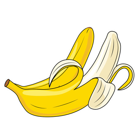 banana vector illustrationのイラスト素材