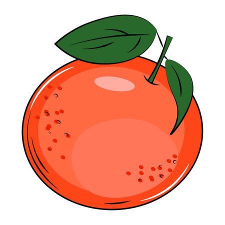 vector illustration of a grapefruit fruitのイラスト素材