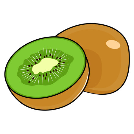 vector illustration of kiwi fruitのイラスト素材