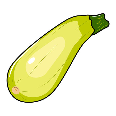 zucchini isolated on white backgroundのイラスト素材