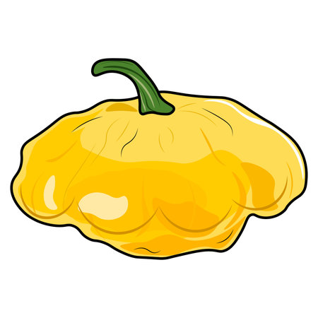 squash illustration isolated on white backgroundのイラスト素材