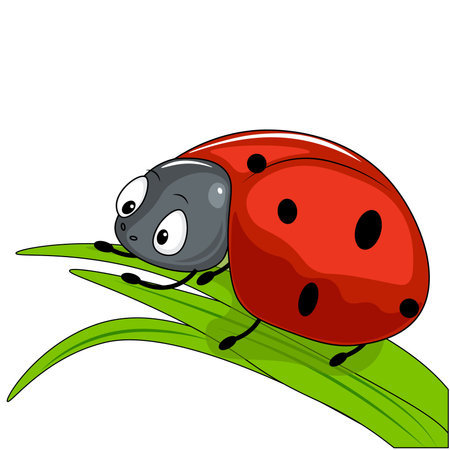 ladybug illustration on green leafのイラスト素材