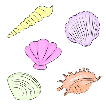 set of seashells on white backgroundのイラスト素材