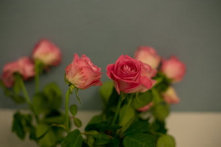 Bouquet of roses for Valentine Day. Made with blur style for background. Beautiful fresh blossoming flowers roses, spray roses. Blossom in vases and tails. . High quality photoの写真素材