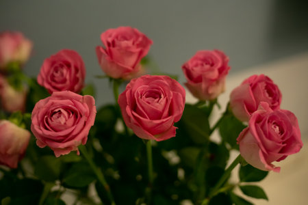 Bouquet of roses for Valentine Day. Made with blur style for background. Beautiful fresh blossoming flowers roses, spray roses. Blossom in vases and tails. . High quality photoの写真素材