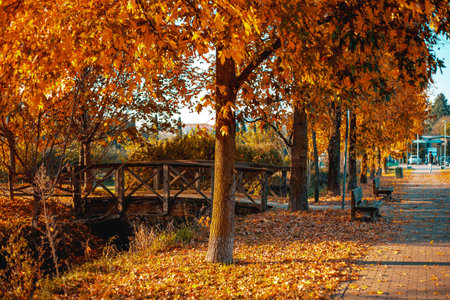 Girl in an autumn park in Italy, Milan. Golden autumn. Italia, Milano 11.01.2023の写真素材