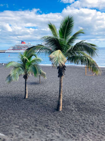 Palm trees in Playa de Bajamar at La Palma, Canary Islands, Spain.の写真素材
