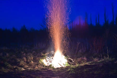 Camp Fire at nightの写真素材