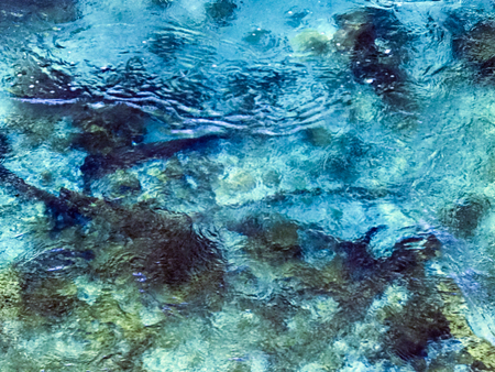 blue transparent lake, closeup, blur, background textureの写真素材