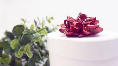 White gift box with red bow on a background of green leaves, St. Valentine's Day, International Women's Day, birthday, holiday concept, mock up, copy spaceの写真素材