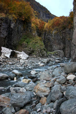 Different colors of autumn in the mountains of the Caucasusの写真素材