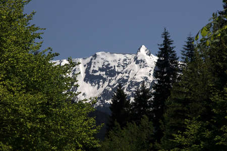 White mountains, the Spring season of summer time, the Caucasus