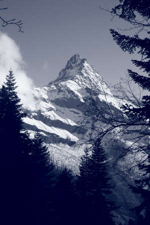The white tops of the mountains in summer, black and white and grayscale images.