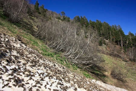 The mountains in the spring and summer, General condition of spring and summer in the mountainsの写真素材