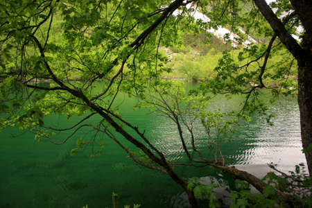 Alpine Lake Alpine latitudes at different times of the yearの写真素材