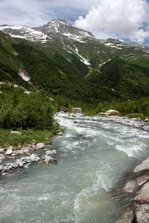 Summer in the mountains, the summer season in the alpine zoneの写真素材