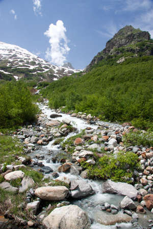 Summer in the mountains, the summer season in the alpine zoneの写真素材