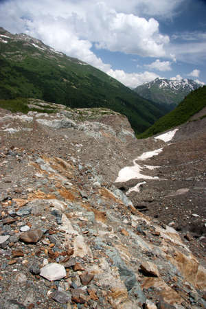 Summer in the mountains, the summer season in the alpine zoneの写真素材