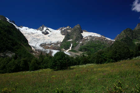 Mountain Flower Valley. Flower Fields in the summerの写真素材