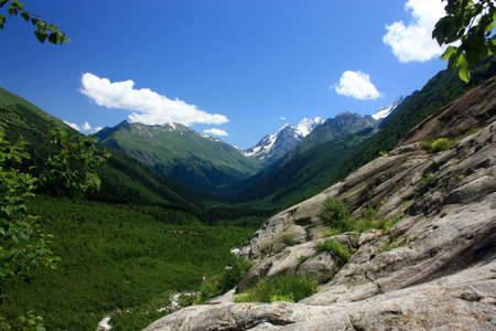 Summer in the mountains, the summer season in the alpine zoneの写真素材