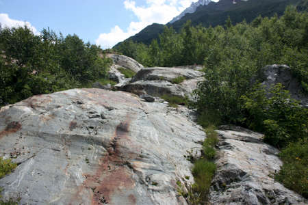 Summer in the mountains, the summer season in the alpine zoneの写真素材