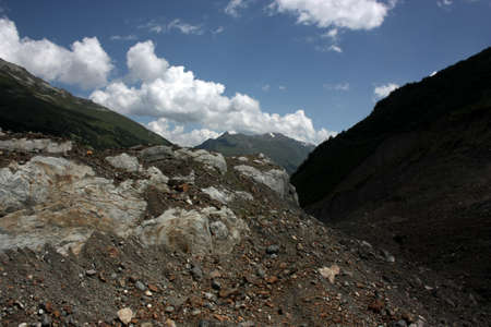 Summer in the mountains, the summer season in the alpine zoneの写真素材
