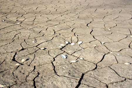 Dry earth, mud, cracked earth, the bottom of the reservoirの写真素材