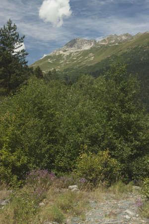Photo of beautiful mountain scenery, the Caucasus, Russiaの写真素材