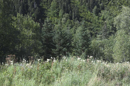 Photo of beautiful mountain scenery, the Caucasus, Russiaの写真素材
