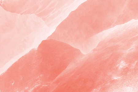 Abstraction made of shapes and patterns present in natureの写真素材
