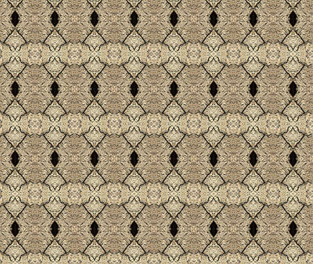 Abstraction made of shapes and patterns present in natureの写真素材