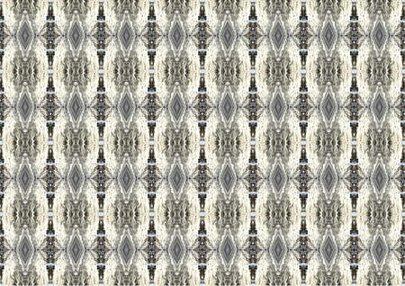 Abstraction made of shapes and patterns present in natureの写真素材