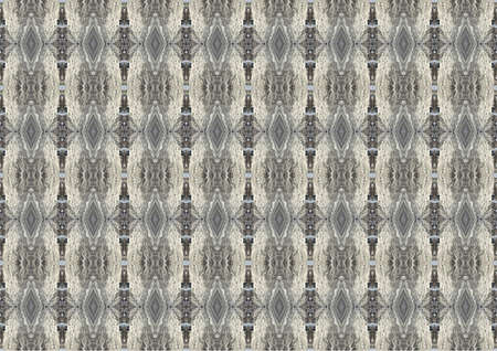 Abstraction made of shapes and patterns present in natureの写真素材