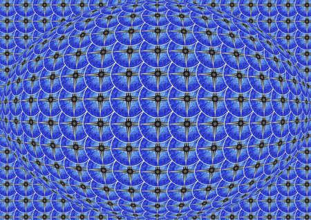 Abstraction made of shapes and patterns present in natureの写真素材