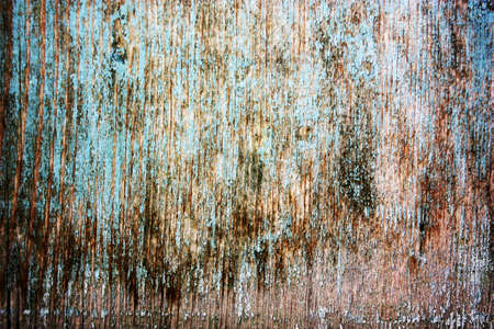 different textures for your background and design, natural backgroundsの写真素材