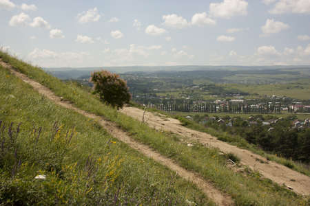 Panoramic view