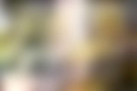 blurry backgroundsFor savers, backgrounds, and your designの写真素材