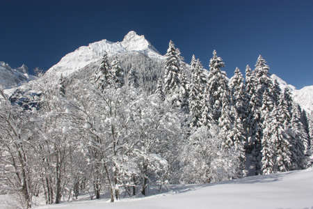 Mountains in winter, beautiful winter landscape in the mountainsの写真素材