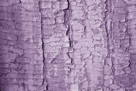 Large cracks texture purple paint on woodの写真素材