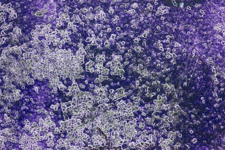 Bright paint on the metal from corrosion timeの写真素材