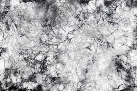Black and white background marble wall textureの写真素材