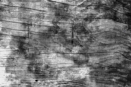 black and white wall wood texture backgroundの写真素材