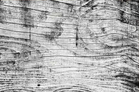 black and white wall wood texture backgroundの写真素材