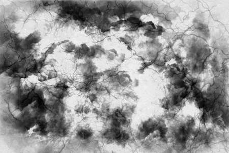 Abstract design of white with a black cloud with lines like veinsの写真素材
